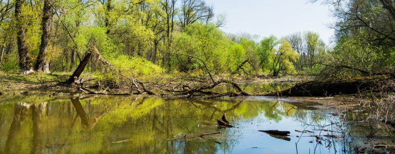 Budoucí CHKO Soutok