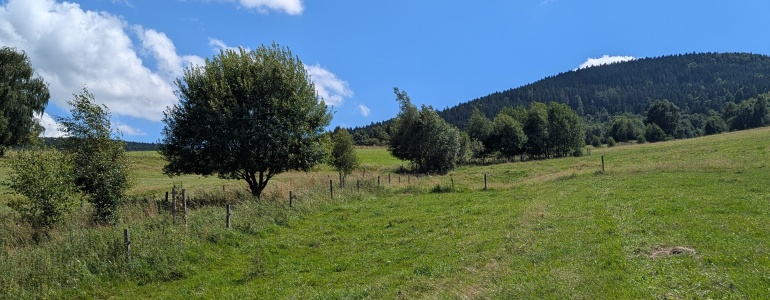 Letní pohled do krajiny.