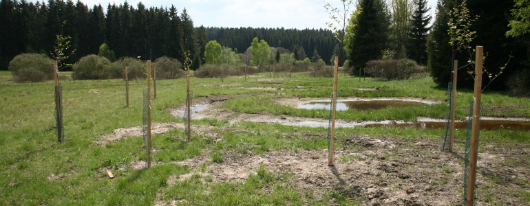 Foto: Zuzana Růžičková