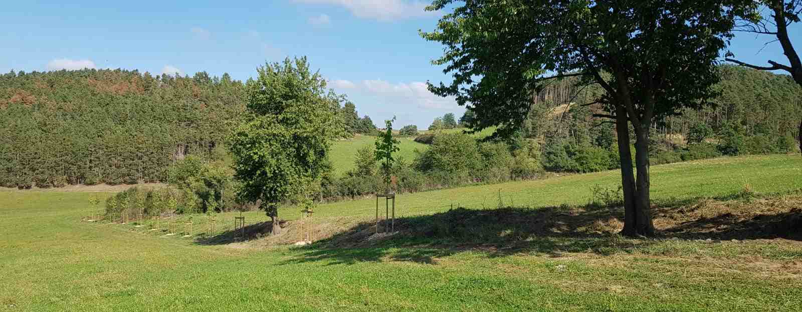 První výzva programu Národní plán obnovy, K. Frolíková