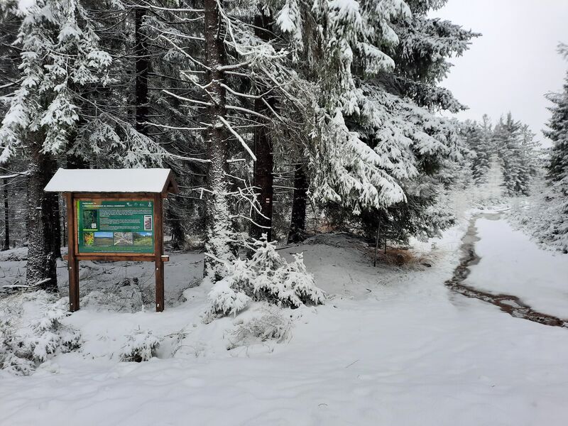 informační tabule - naučná stezka Tok