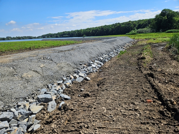 Opatření k ochraně mokřadních ekosystémů v PR Kotvice