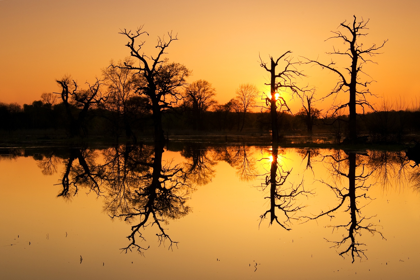 Soutok Moravy a Dyje v západu slunce.