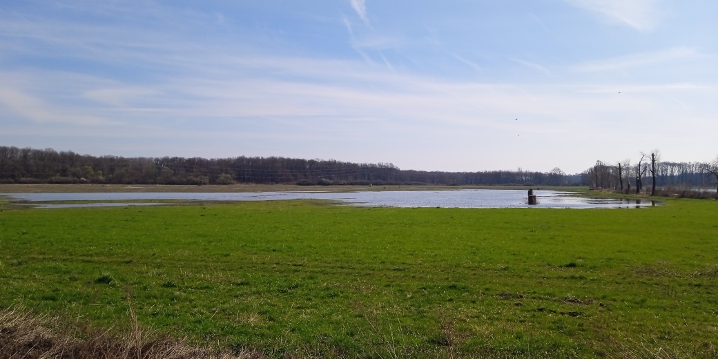 Zatopené pole u Kostic.