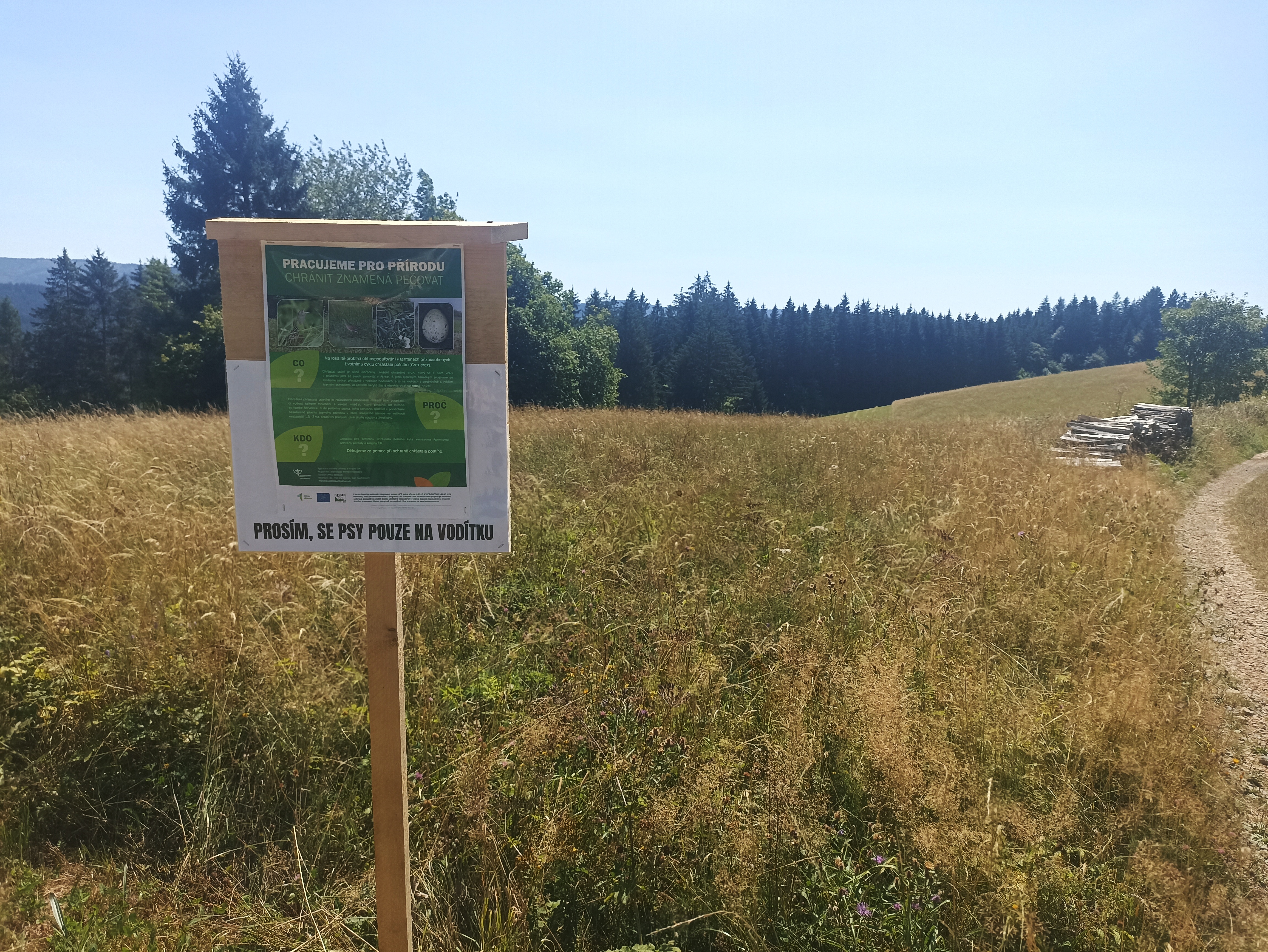 označená louka s výskytem chřástala polního