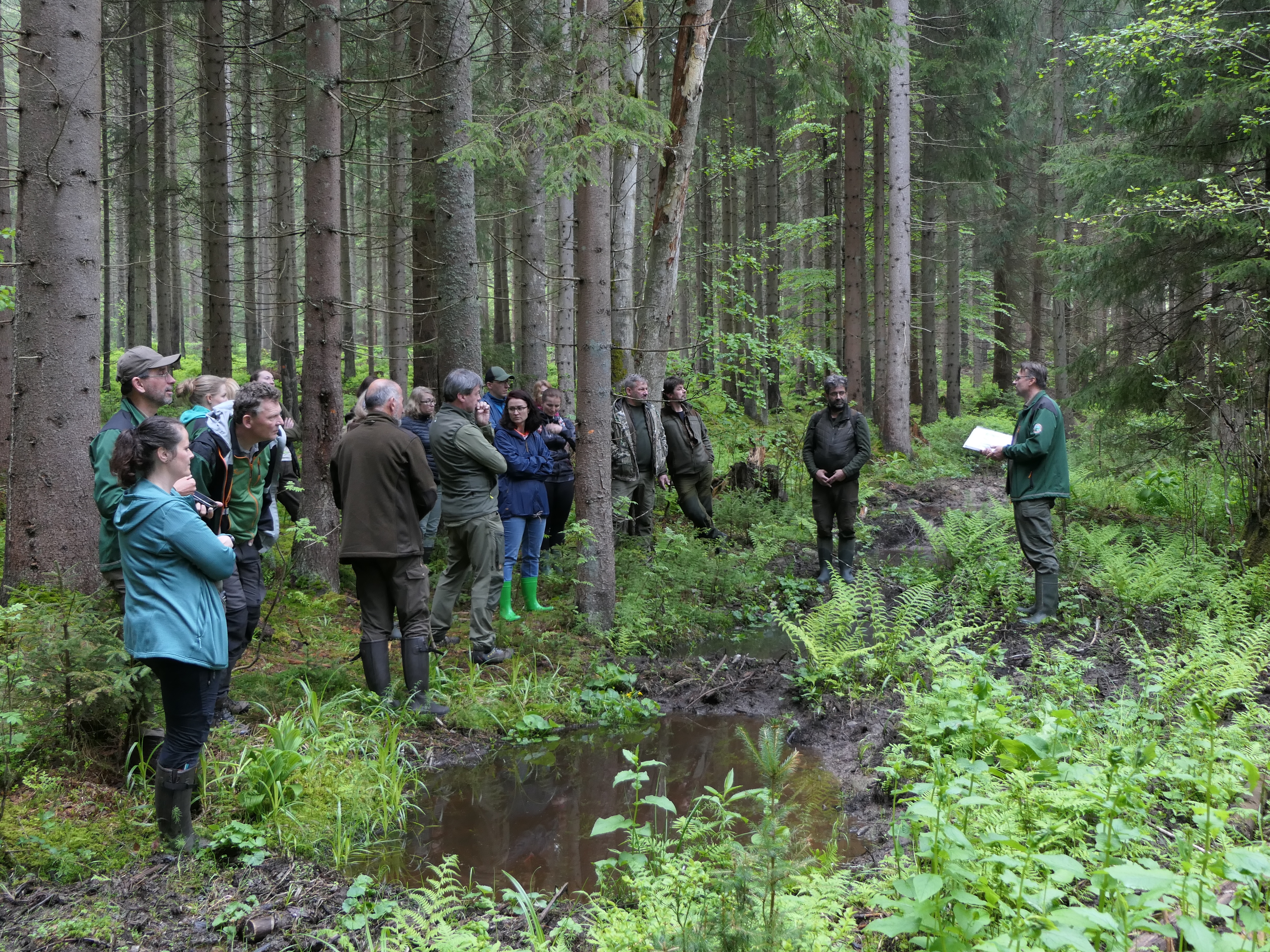 exkurze v údolí Černé Ostravice