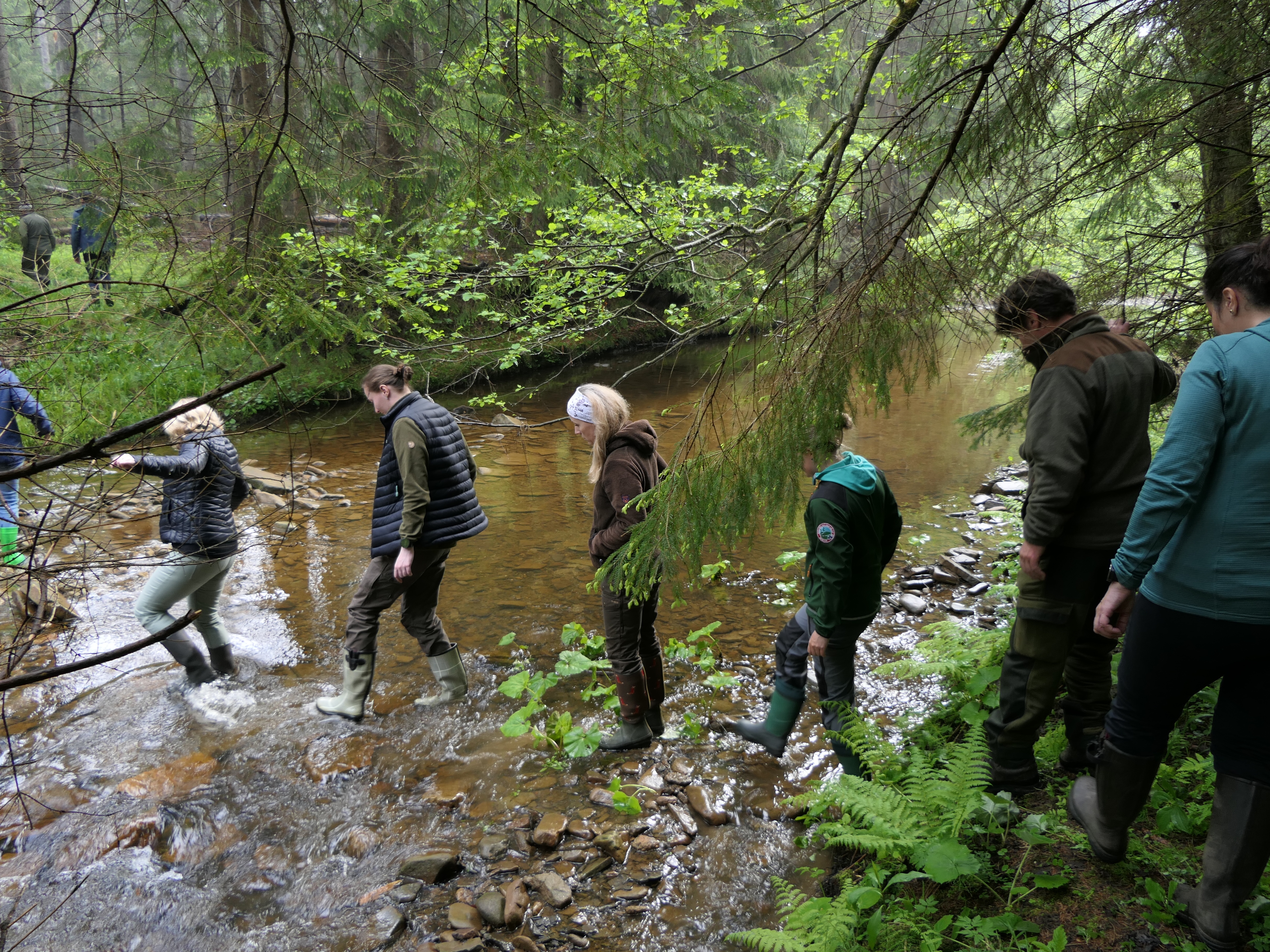 exkurze v údolí Černé Ostravice