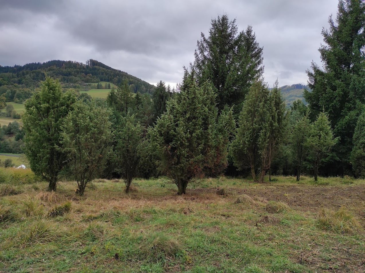 Na Pasekách v Huslenkách