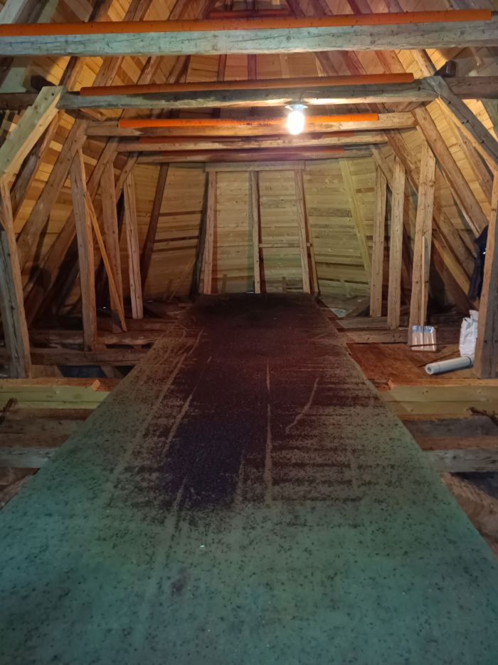 Trus netopýra velkého na půdě kostela.