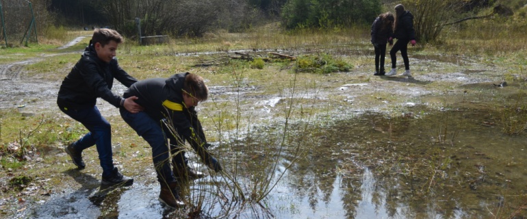 Vytrhávání vrbiček z tůně.