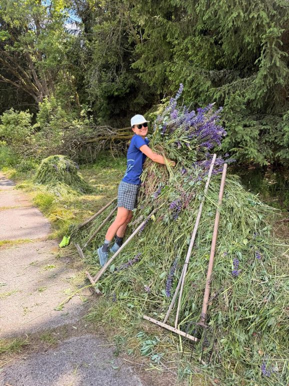 Největší počin 1. místo Lucie Štefanská - Usměvavá dobrovolnice pokládá na hromadu posekané lupiny další obrovskou náruč modrých květů.