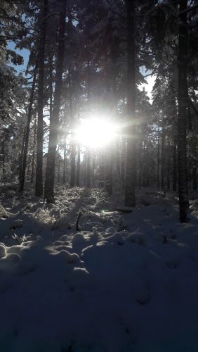 Odpolední slunce nad Nepomukem.