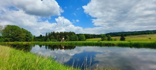 Krajina s rybníkem.