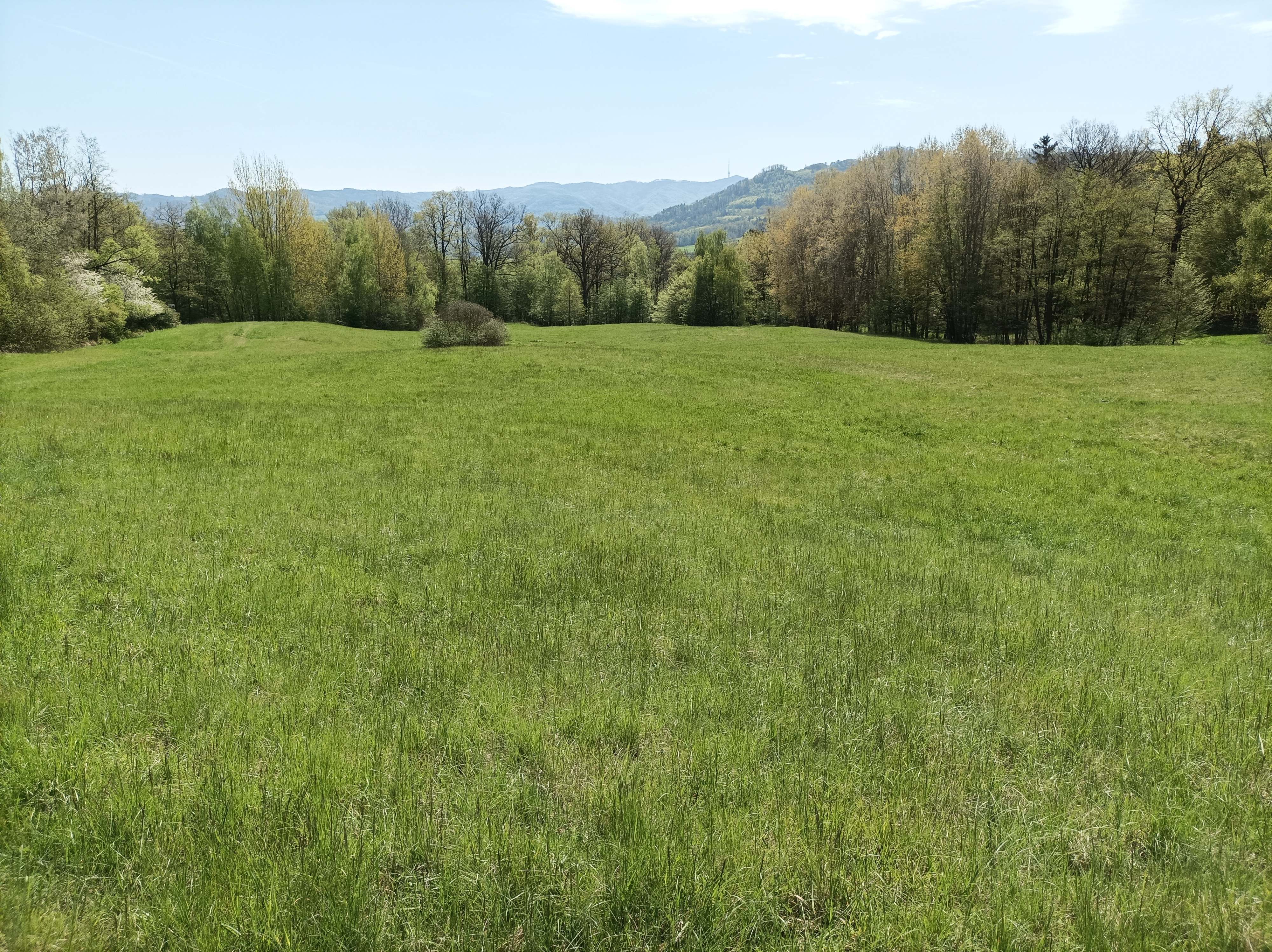 Pestré louky Bohyňských lad, autor: Michal Forejt