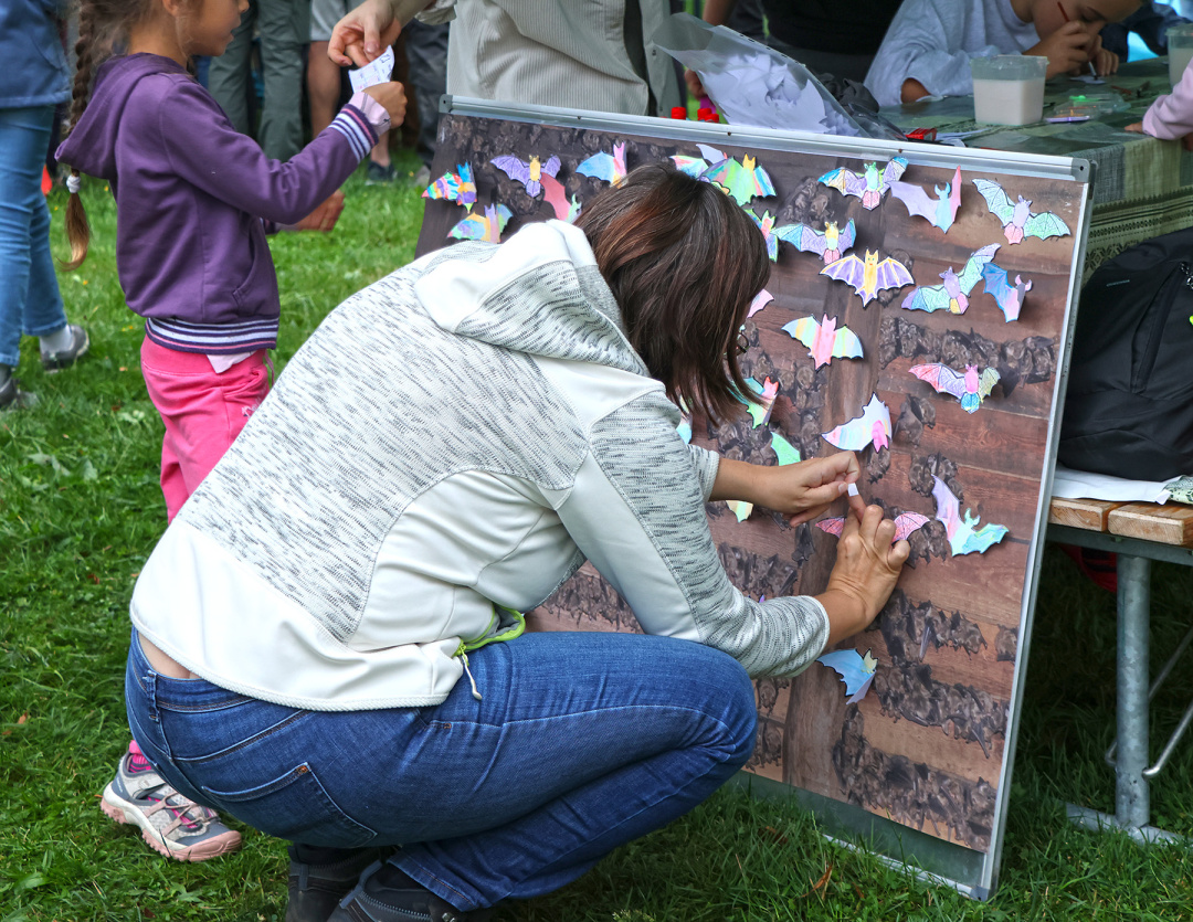 vyrábění netopýří kolonie