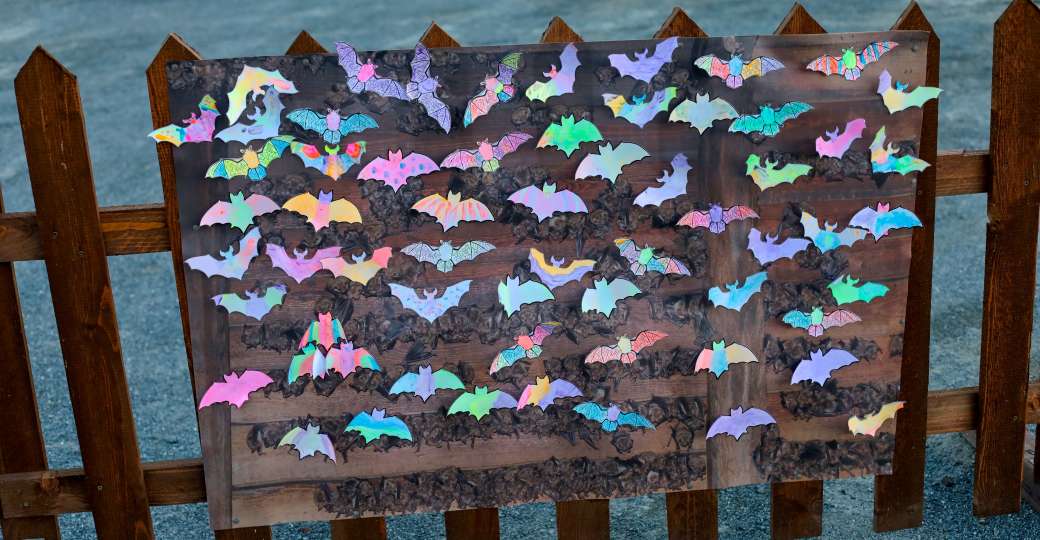 Svítící netopýři v kolonii.