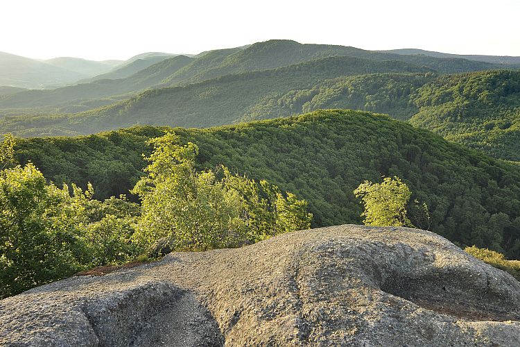 Chráněná krajinná oblast Jizerské hory