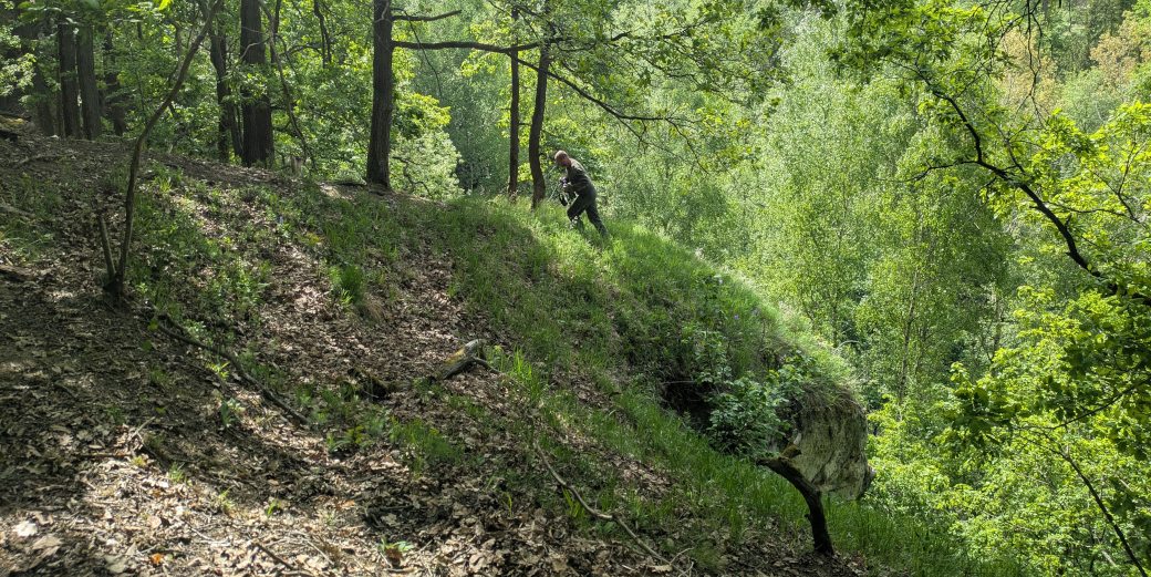 Monitoring kosatců probíhal na hranách pískovcových skal.