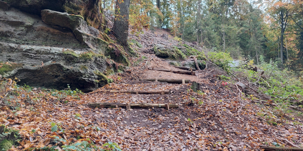 Terénní stupně z akátových klád jsou zakotveny ve svahu.