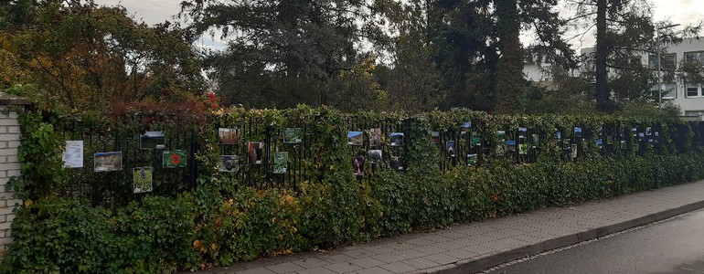 Celkový pohled na výstavu.