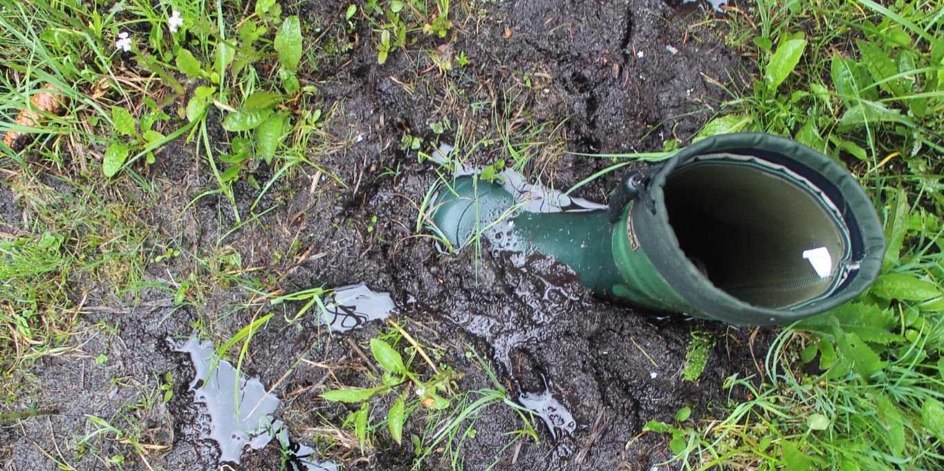 Jak se dá zapadnout