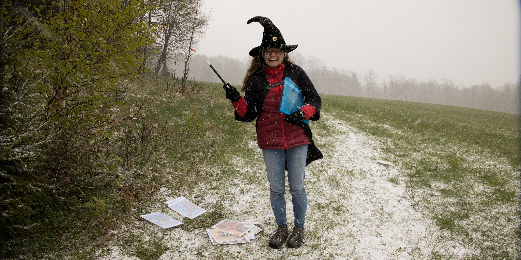 Jak probíhá metamotfóza obojživelníků.