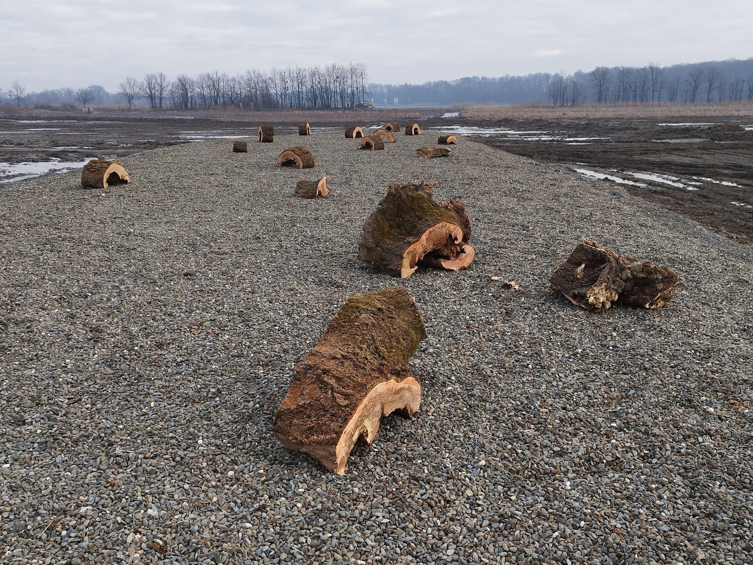 Ptačí úkryty na štěrkové části ostrova