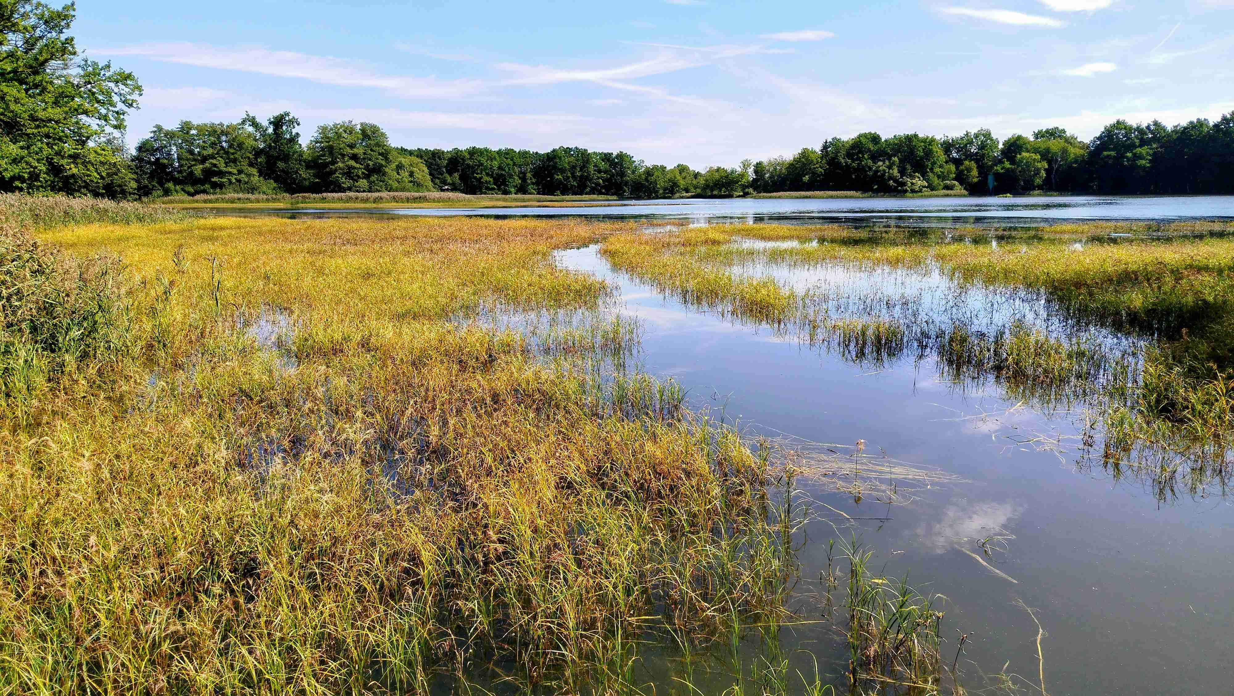 foto Ing. Zdeňka Neudertová, Velký Lomnický
